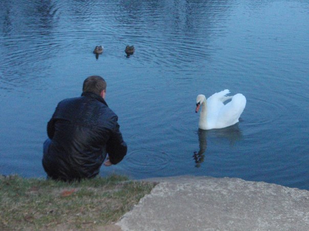 №48, Алена Антушевич, Гродно №48, Алена Антушевич, Гродно