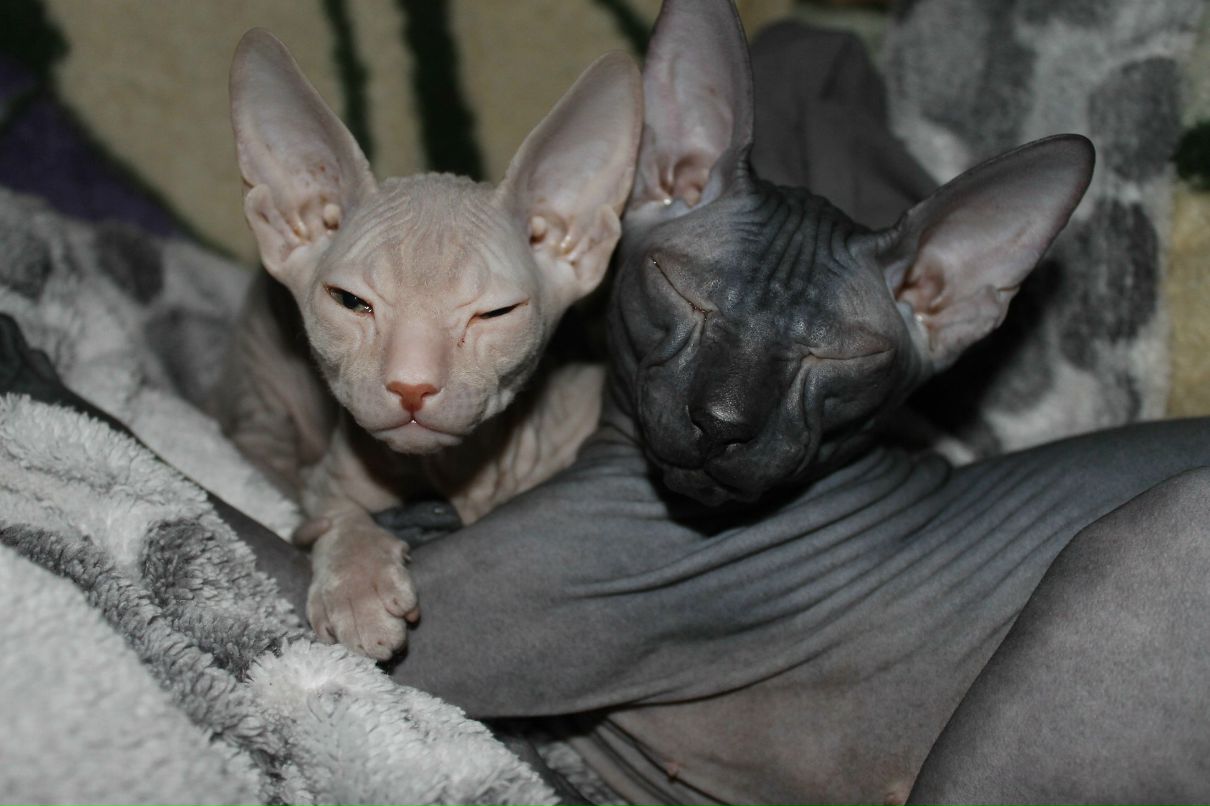 Артур Вершич ✂ | Тюмень