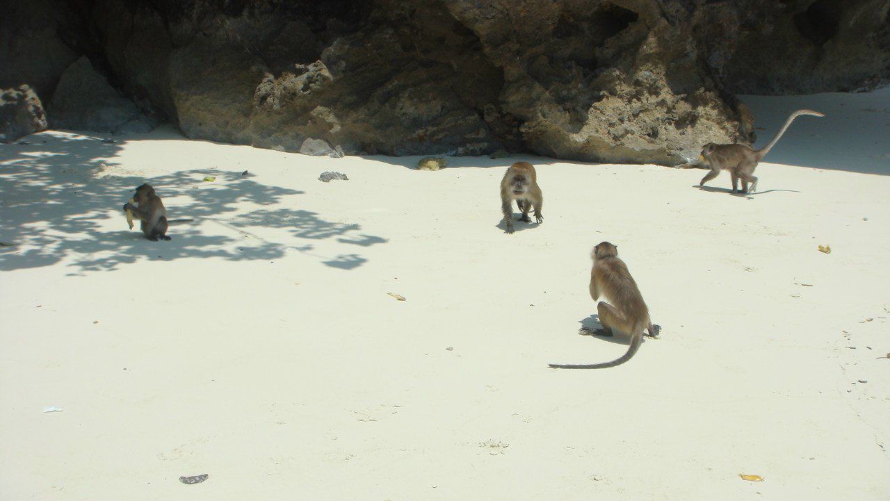 Жанна Псеуш | Одинцово