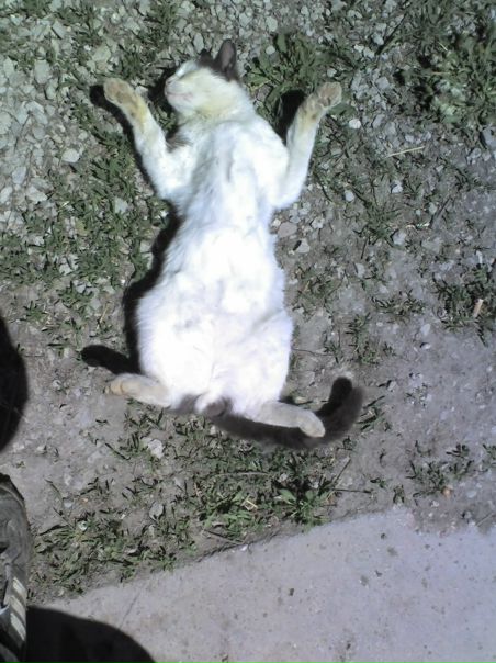 №74, Олег Литвиненко, 105 лет, Родники №74, Олег Литвиненко, 105 лет, Родники