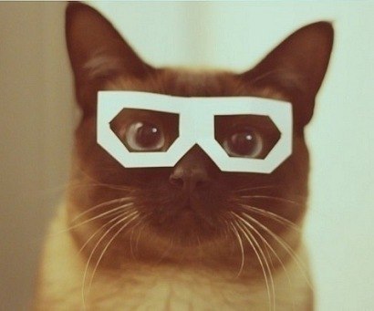 Валерия Шаповалова | Санкт-Петербург