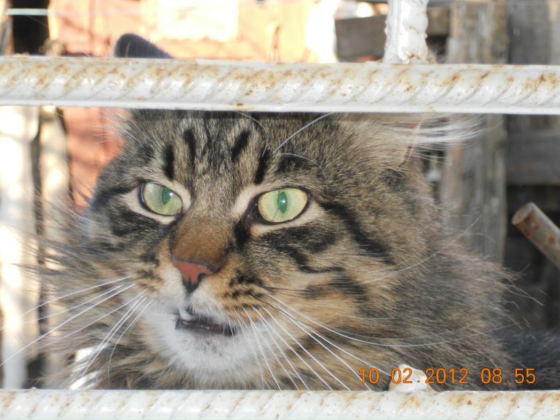 Игорь Маркузе | Одесса