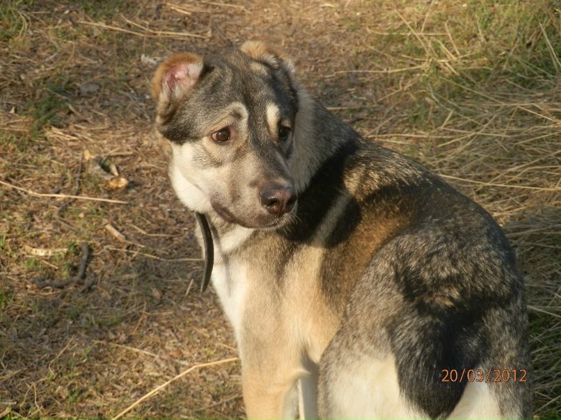 Виталий Бернадский | Джанкой