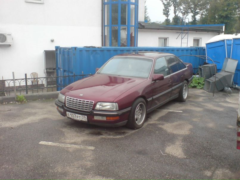 Катюшка Koshka | Калининград