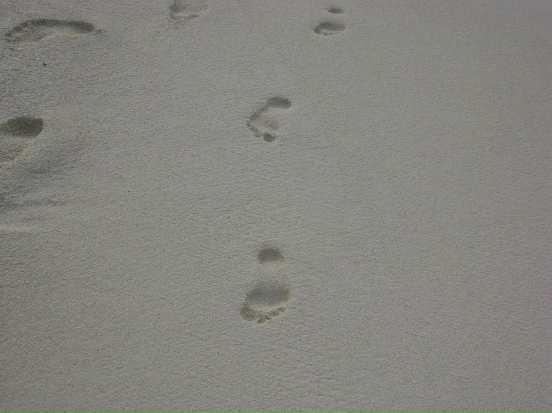 Татьяна Весёлкина | Самара