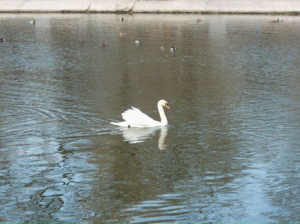 №63, Александр Моисеев №63, Александр Моисеев