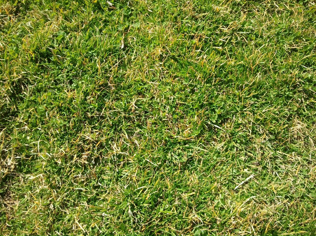 Игорь Панов | Santo Domingo