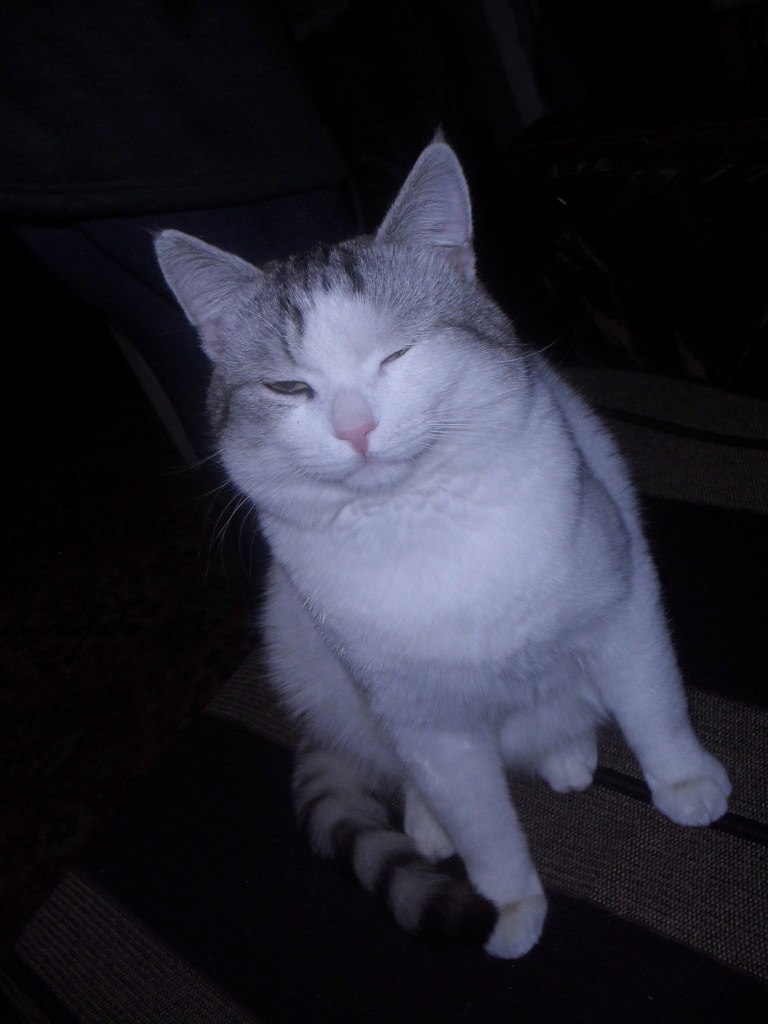 Сергей Асеев | Нижний Новгород