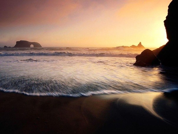 Ольга Лемза | Санкт-Петербург