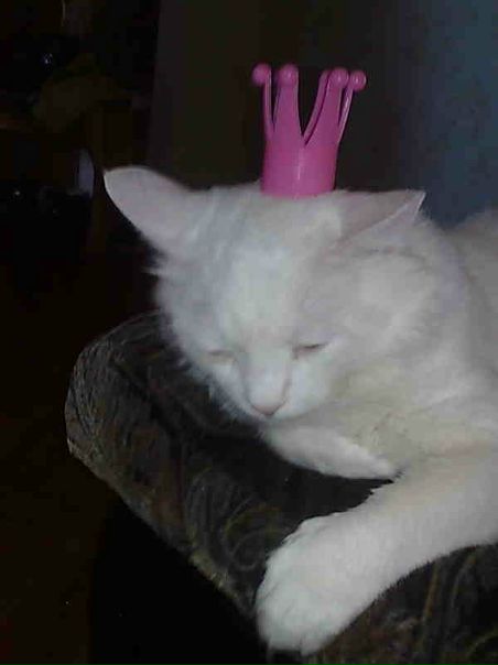 №9, Юля Лысенко №9, Юля Лысенко