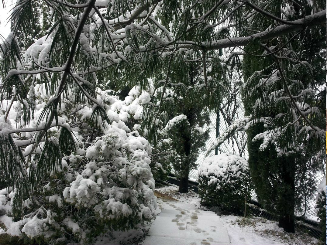 Иван Кисопуло | Сочи