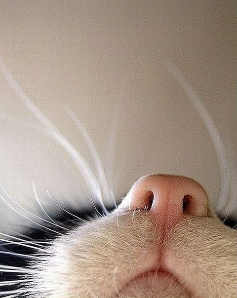 №47, Катерина Гизатуллина, 33 года, Челябинск №47, Катерина Гизатуллина, 33 года, Челябинск