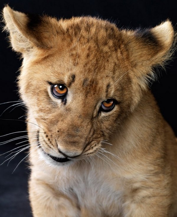 Евгений Жебрун | Барановичи