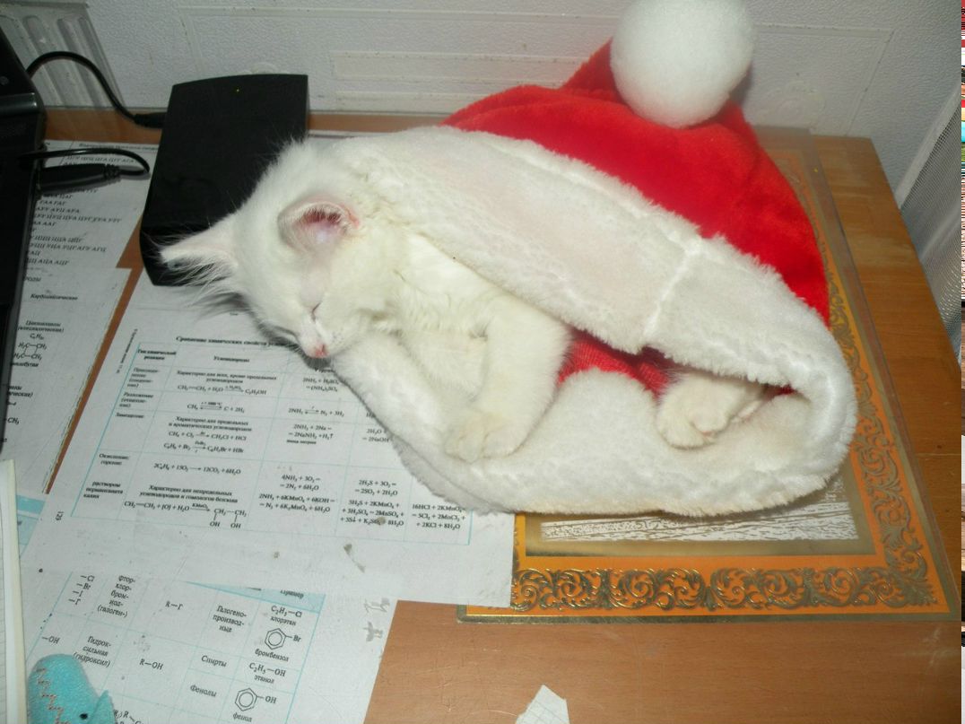 Annushka Chulyukova | Москва