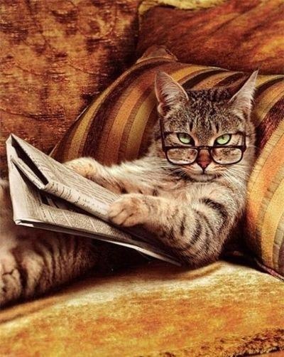 Михаил Леонидов | Волжский