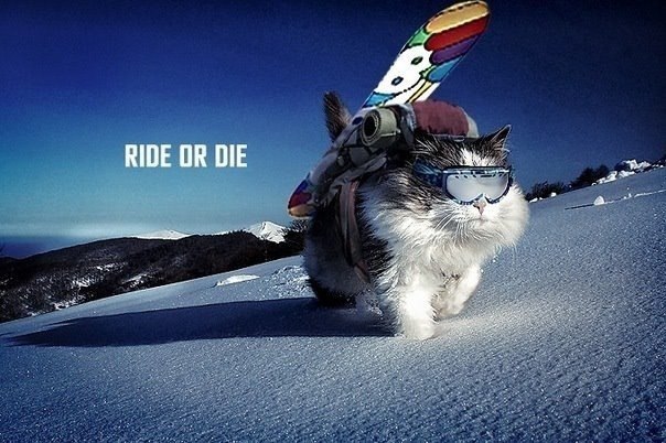 Константин Алексеев | Москва