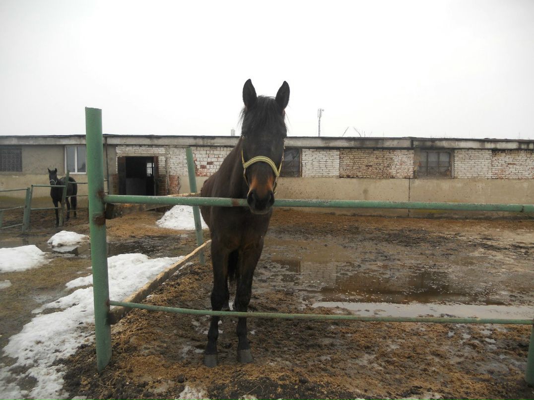 Таисия Медведева | Мытищи