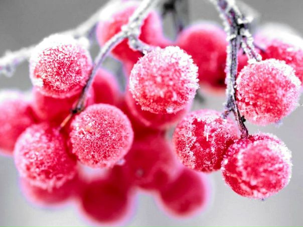 №12, Наталья Гагина, Пермь №12, Наталья Гагина, Пермь