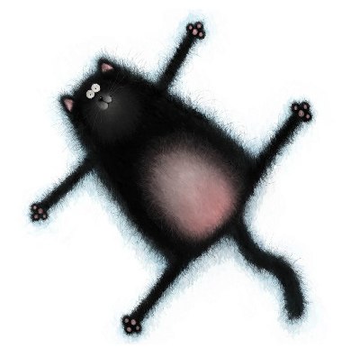 Сергей Островой | Киев