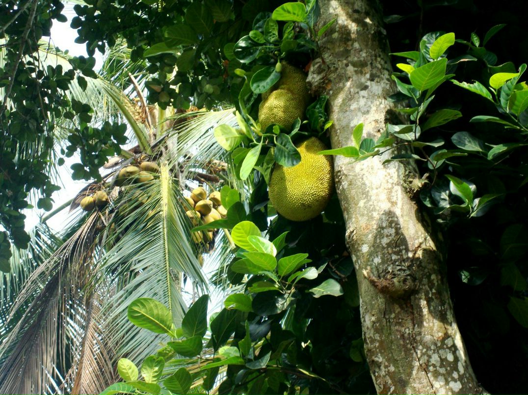 Виктория Матух | Киев