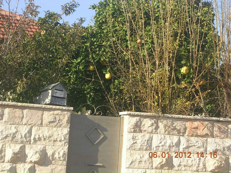 Сергей Рухленко | Санкт-Петербург