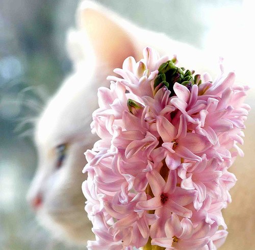 Анастасия Кузовкова | Санкт-Петербург