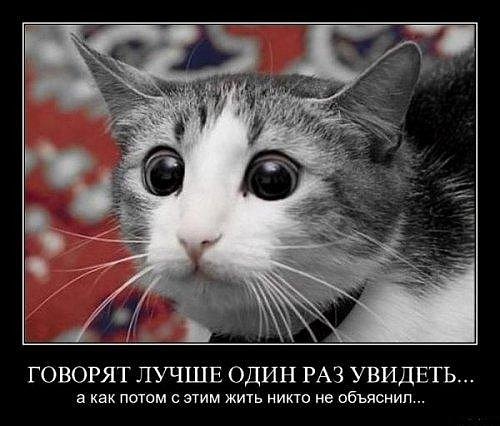 №1, Таня Которова, Мариуполь №1, Таня Которова, Мариуполь
