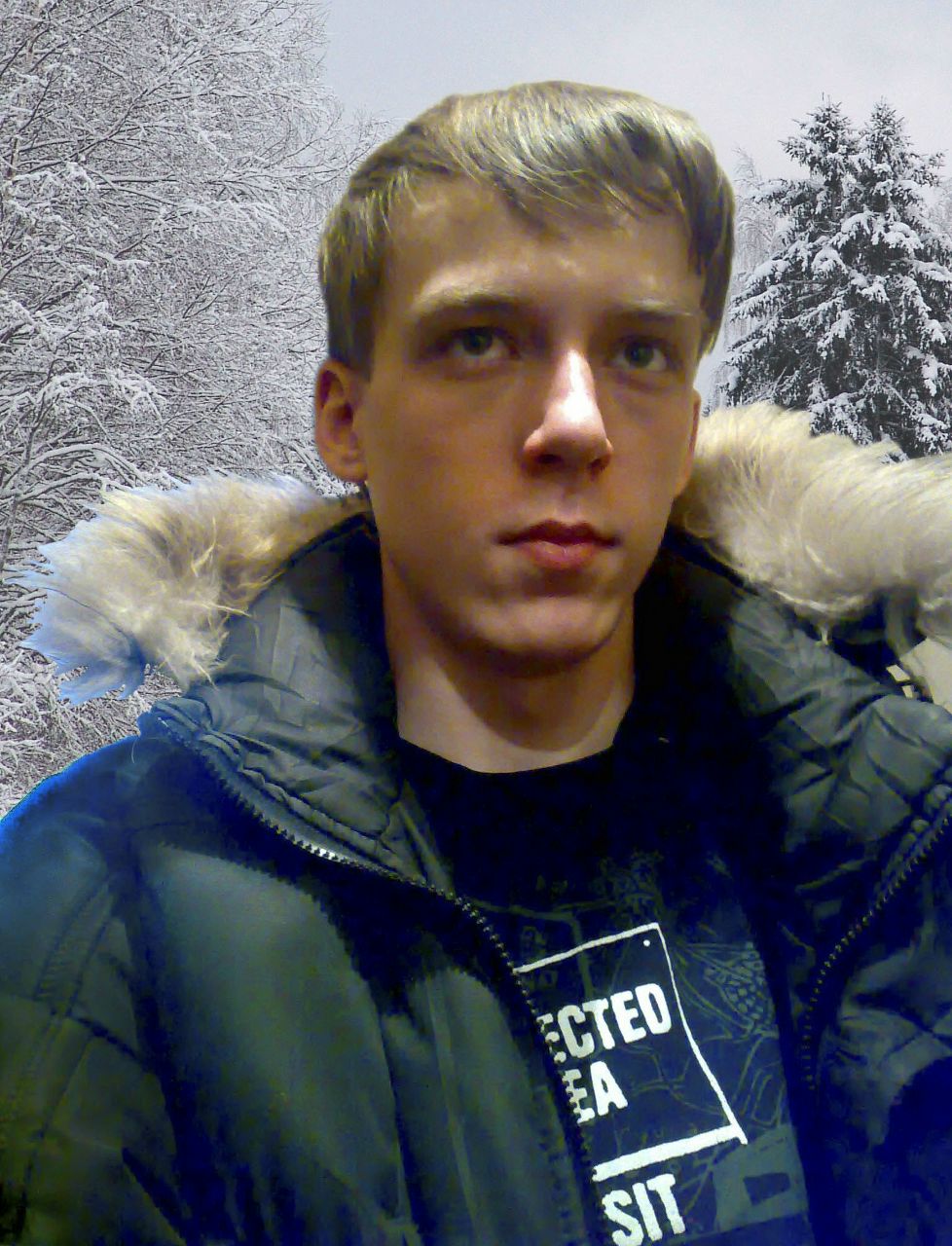 Дмитрий Малашин | Кедровка