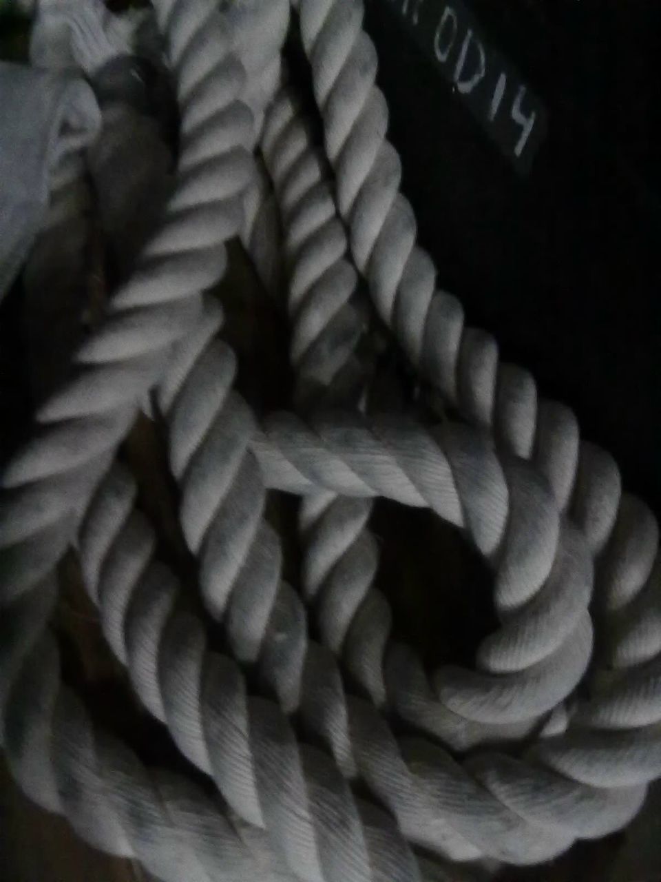 Маша Анищенко | Москва