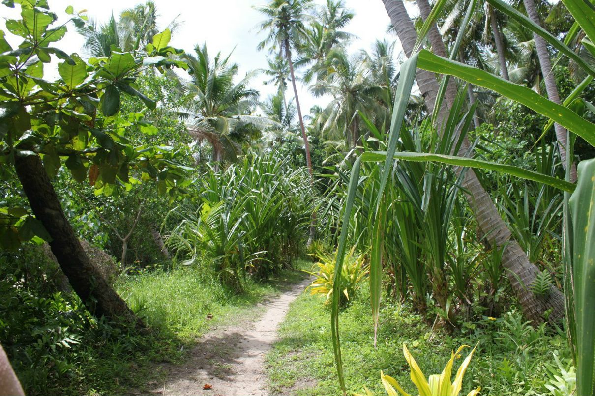 Наталия Stronger | Киев