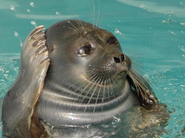 Денис Кирсанов | Санкт-Петербург