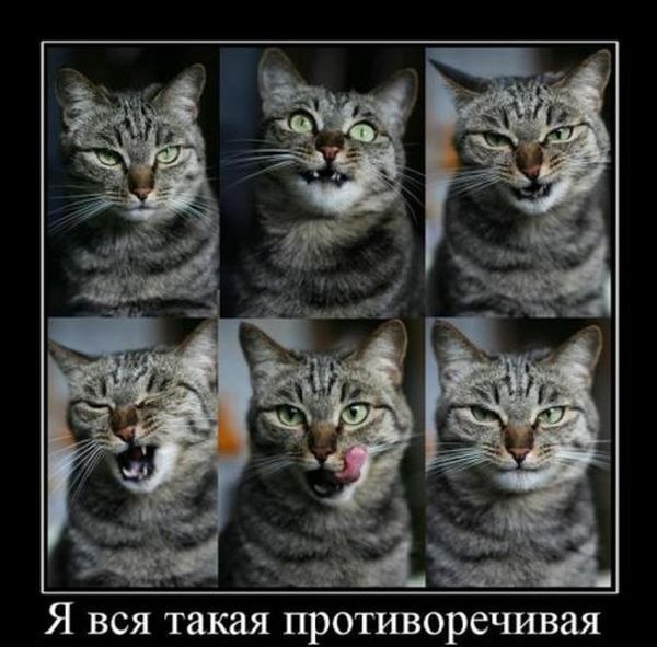 Еленочка Жукова | Новороссийск