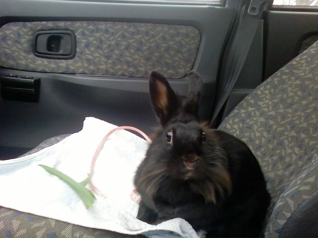 Артем Алексеев | Киев