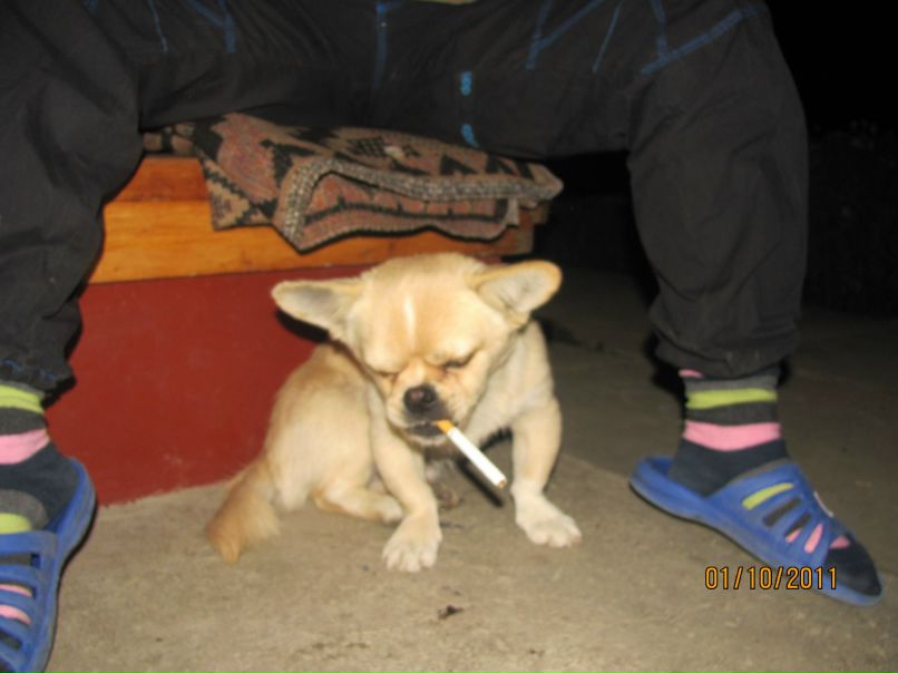 Женя Атаманюк Гоцул | Коломыя