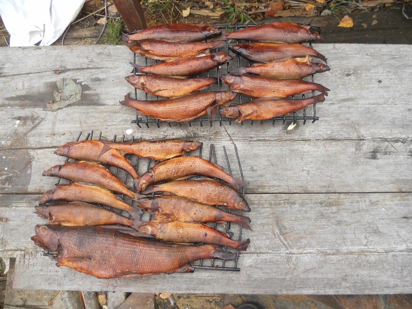 Алексей Кошелев | Северодвинск