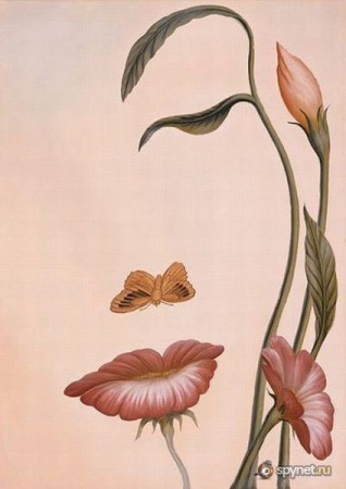 №23, Татьяна Кулик №23, Татьяна Кулик