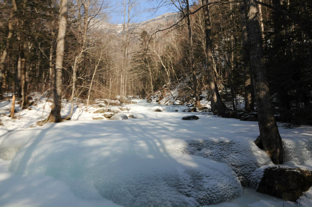 Татьяна Казанцева | Владивосток