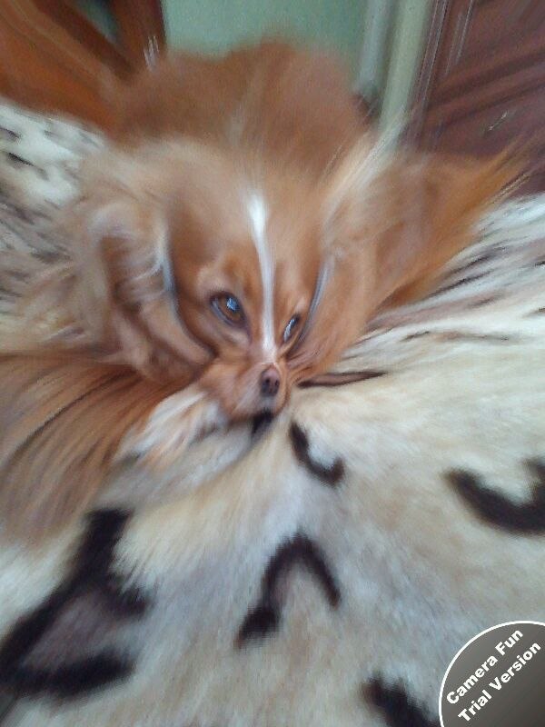 Максим Ефимов | Мичуринск