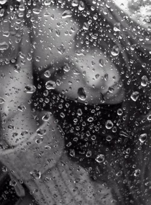 Елена Пилюгина | Оренбург