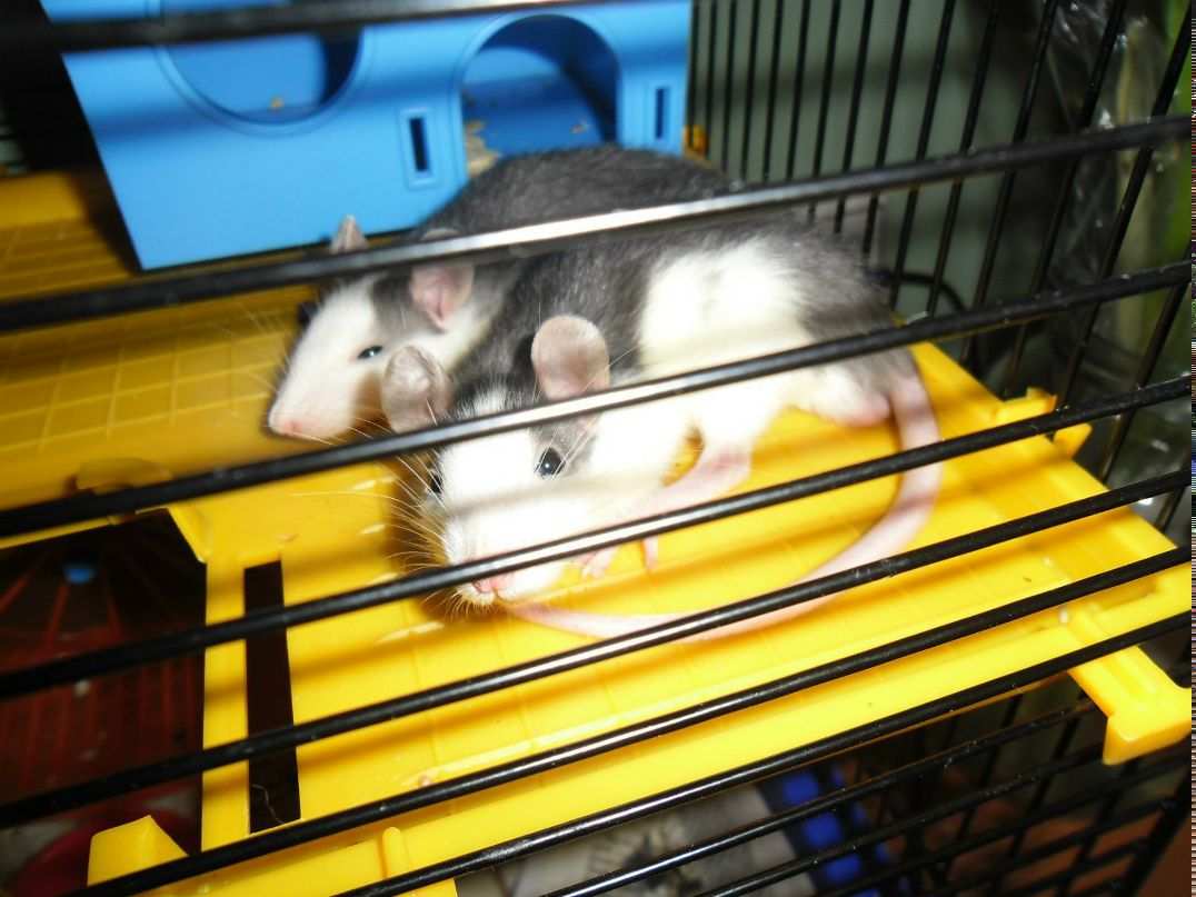 Марина Снигирева | Коммунар (поселок)