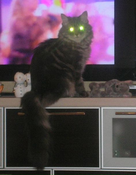 №15, Анна Козлова, 39 лет, Вологда, Россия №15, Анна Козлова, 39 лет, Вологда, Россия