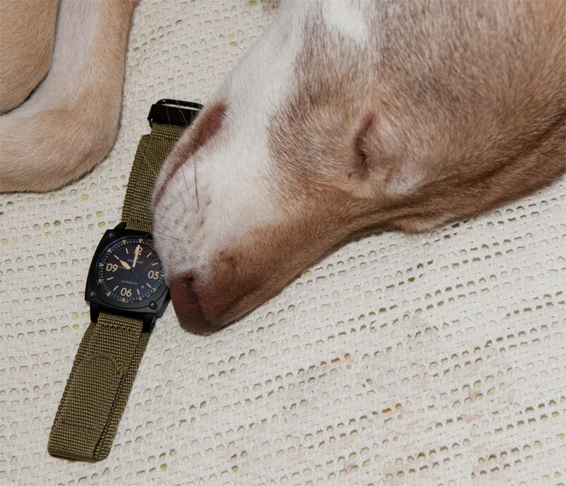 Александр Чепинога | Великий Новгород