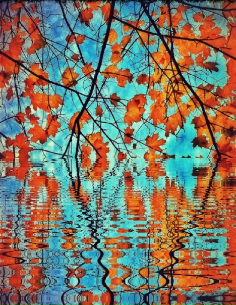 №36, Людмила Марлей, Санкт-Петербург №36, Людмила Марлей, Санкт-Петербург