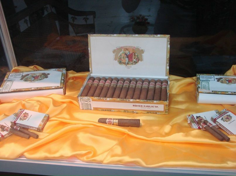 Валерия Ковалёва | Воронеж