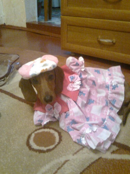 №36, Алина Шульц, Гагарин №36, Алина Шульц, Гагарин