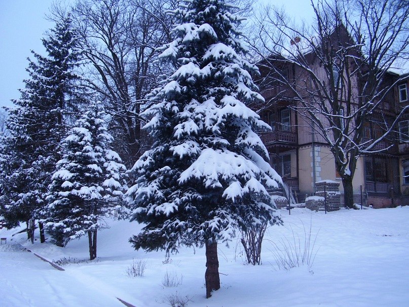 Константин Павловский | 