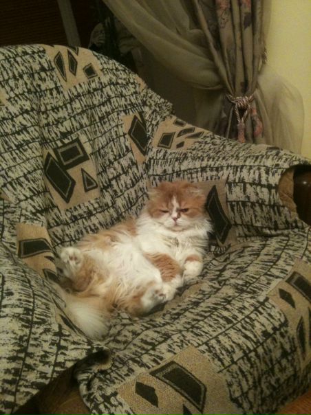 №106, Евгений Гудов, Санкт-Петербург №106, Евгений Гудов, Санкт-Петербург