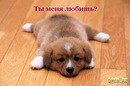 Фотография Яцковой Насти