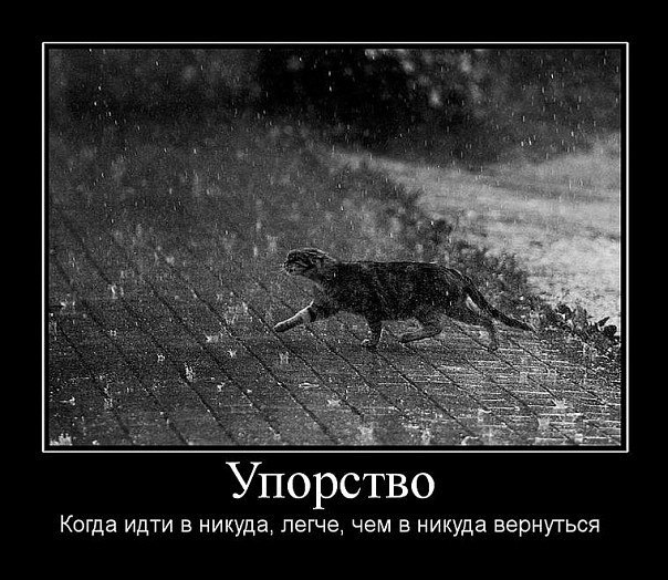 №121, Сергей Цвелой, Красноярск №121, Сергей Цвелой, Красноярск