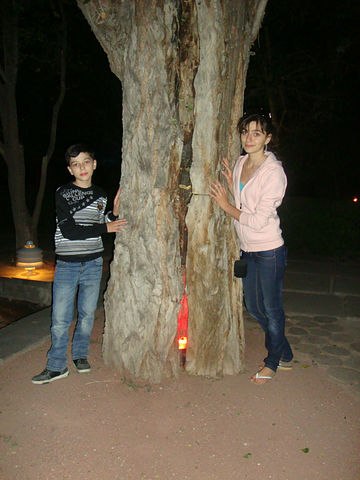 №24, Tigran Petrosyan, Пушкино, Россия №24, Tigran Petrosyan, Пушкино, Россия